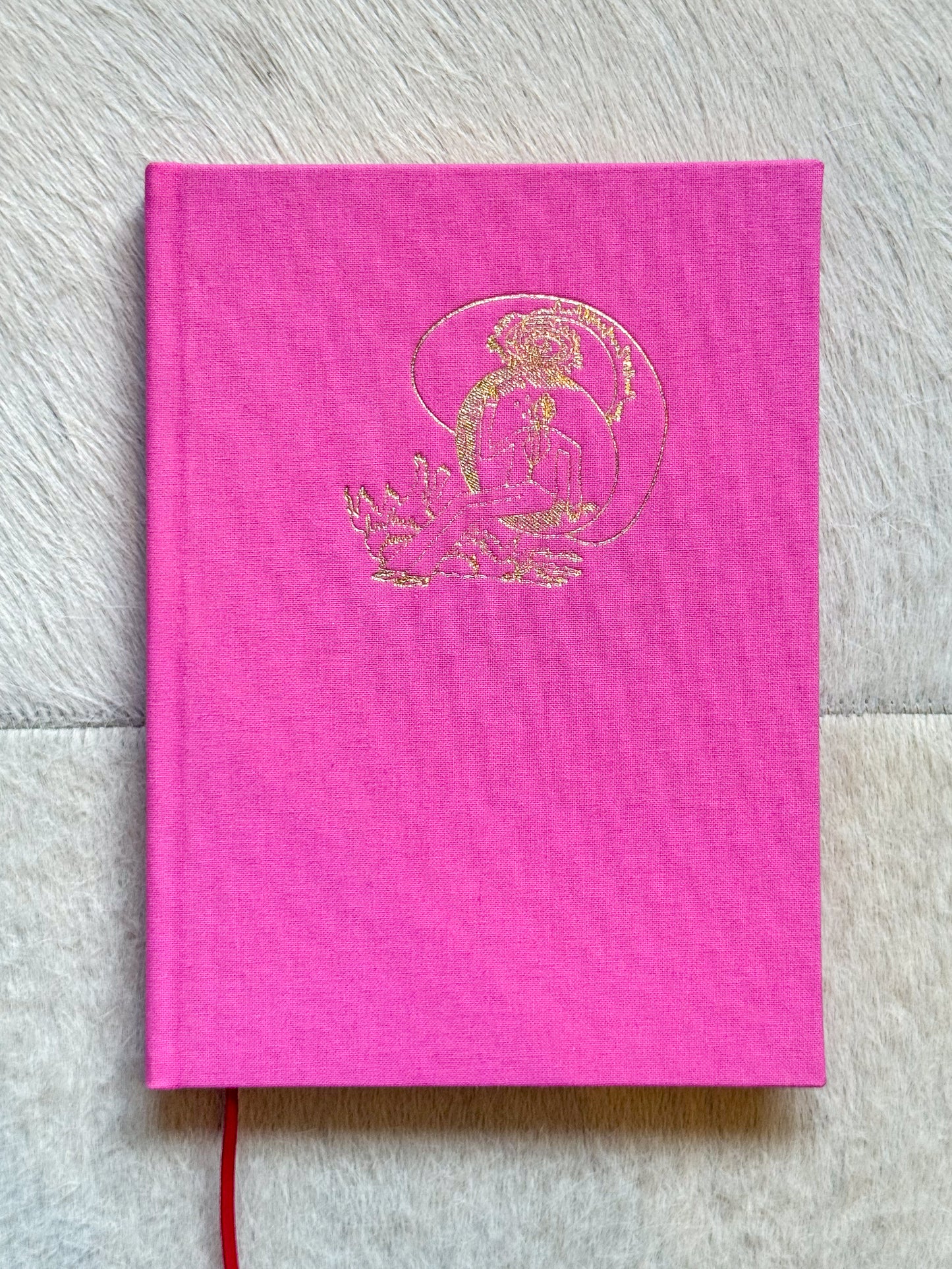 Caderno Concha