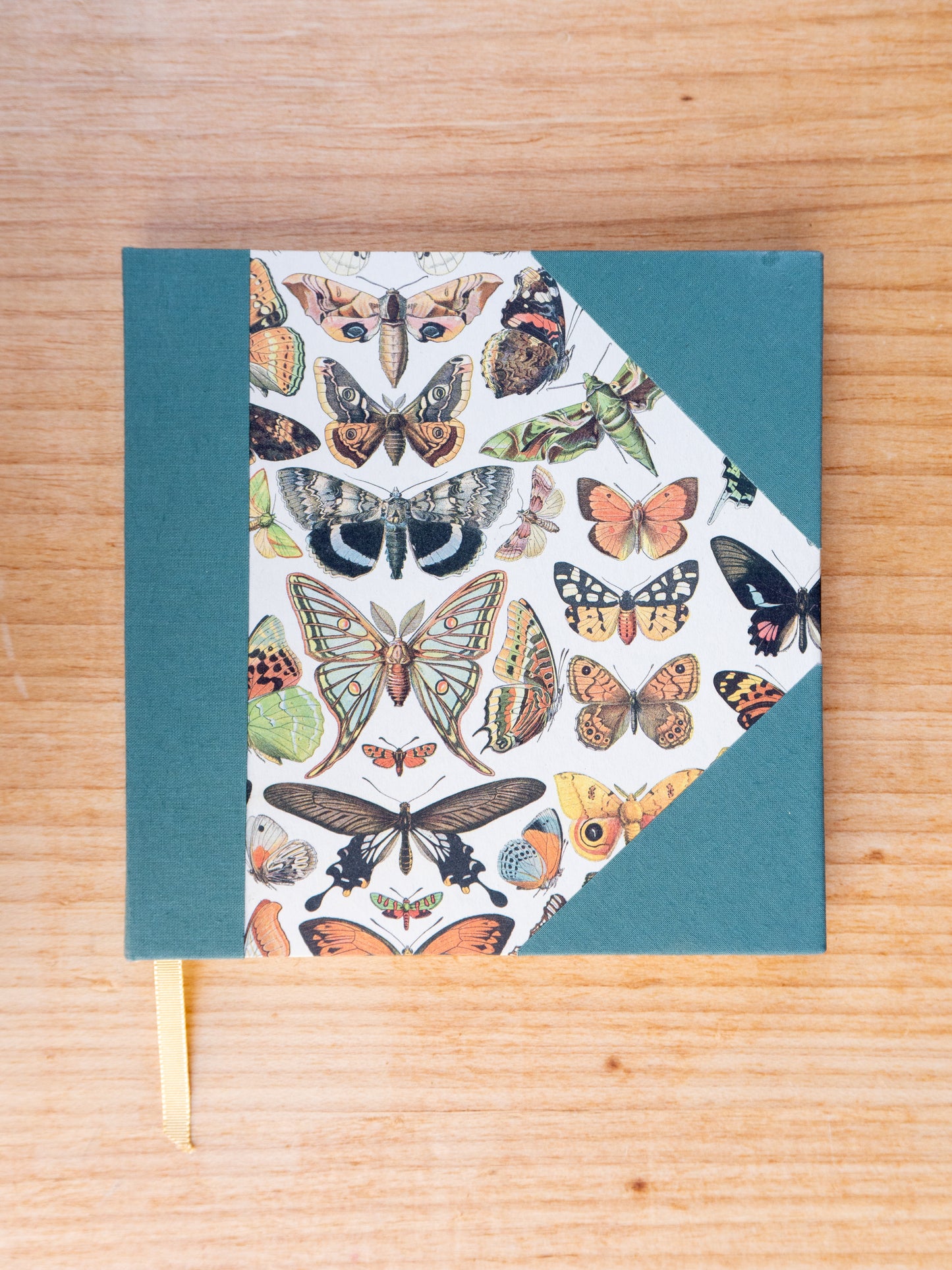Caderno Naturalia