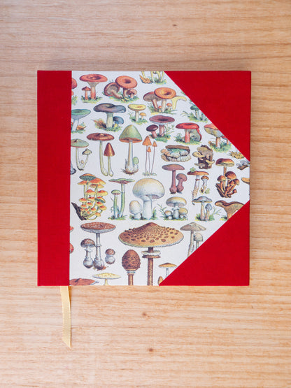 Caderno Naturalia