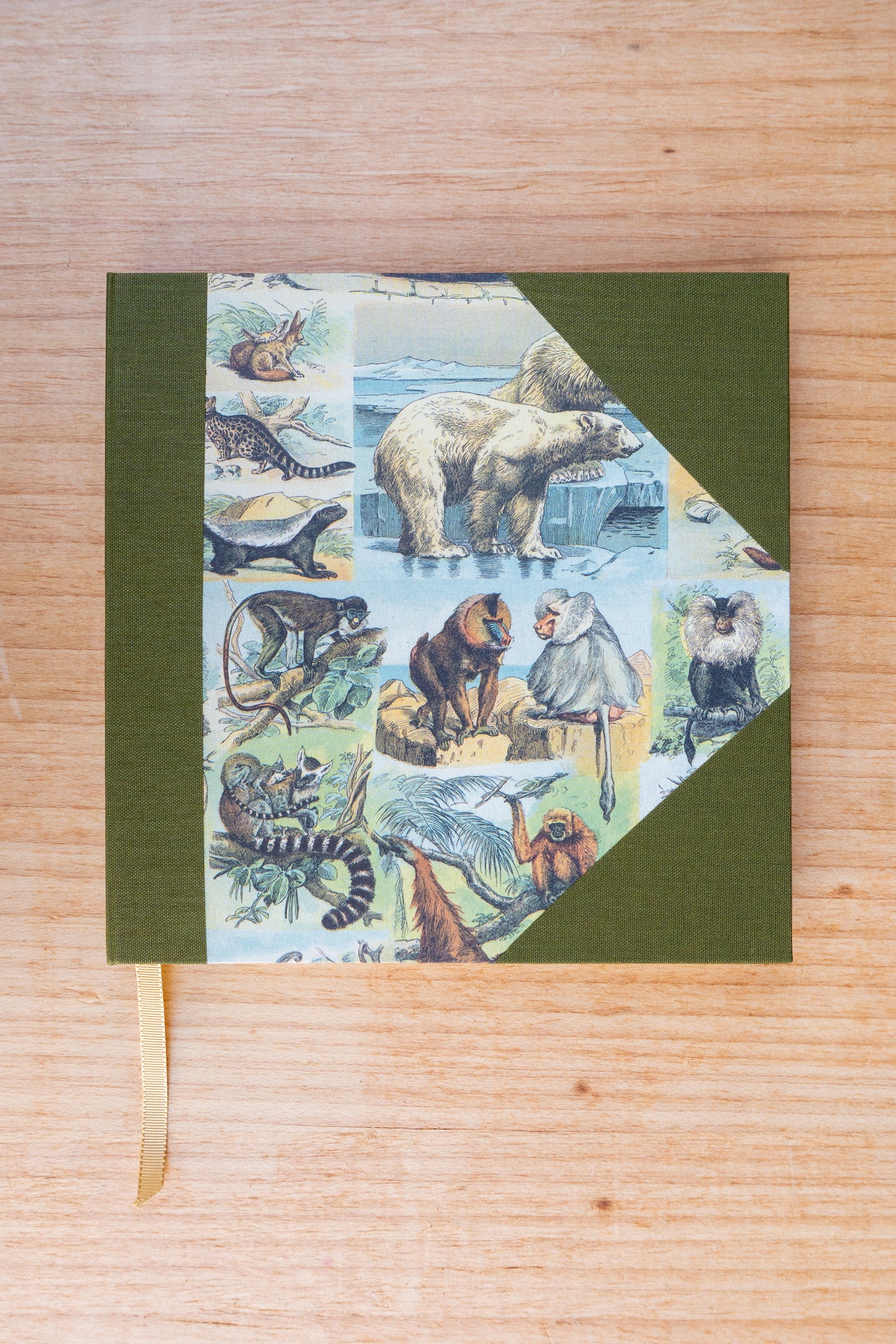 Caderno Naturalia