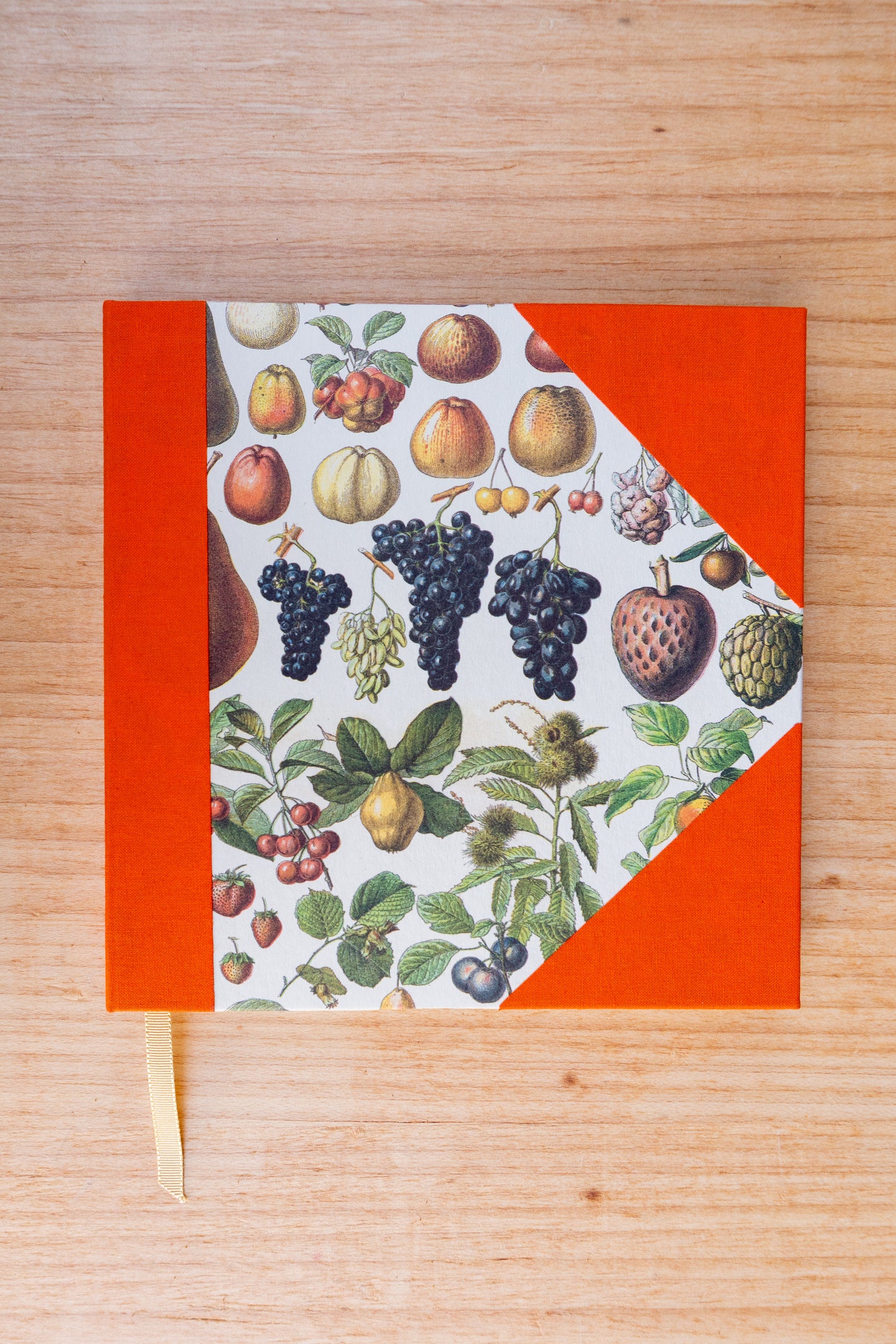 Caderno Naturalia