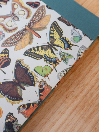 Caderno Naturalia