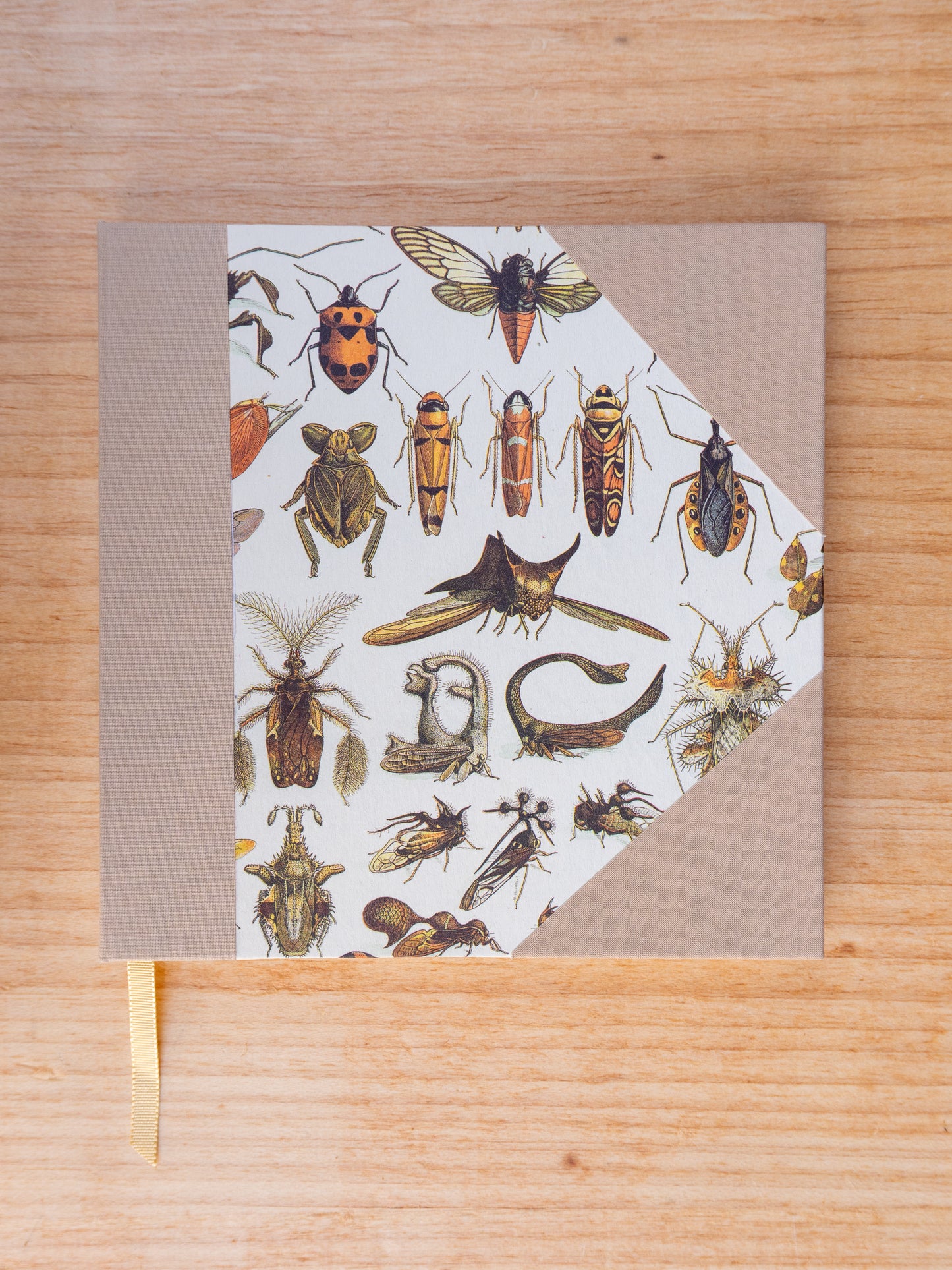 Caderno Naturalia