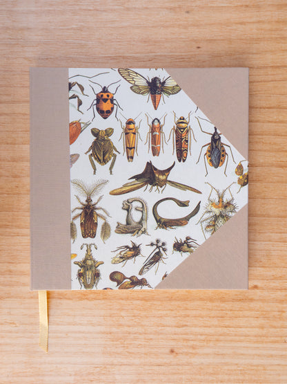 Caderno Naturalia
