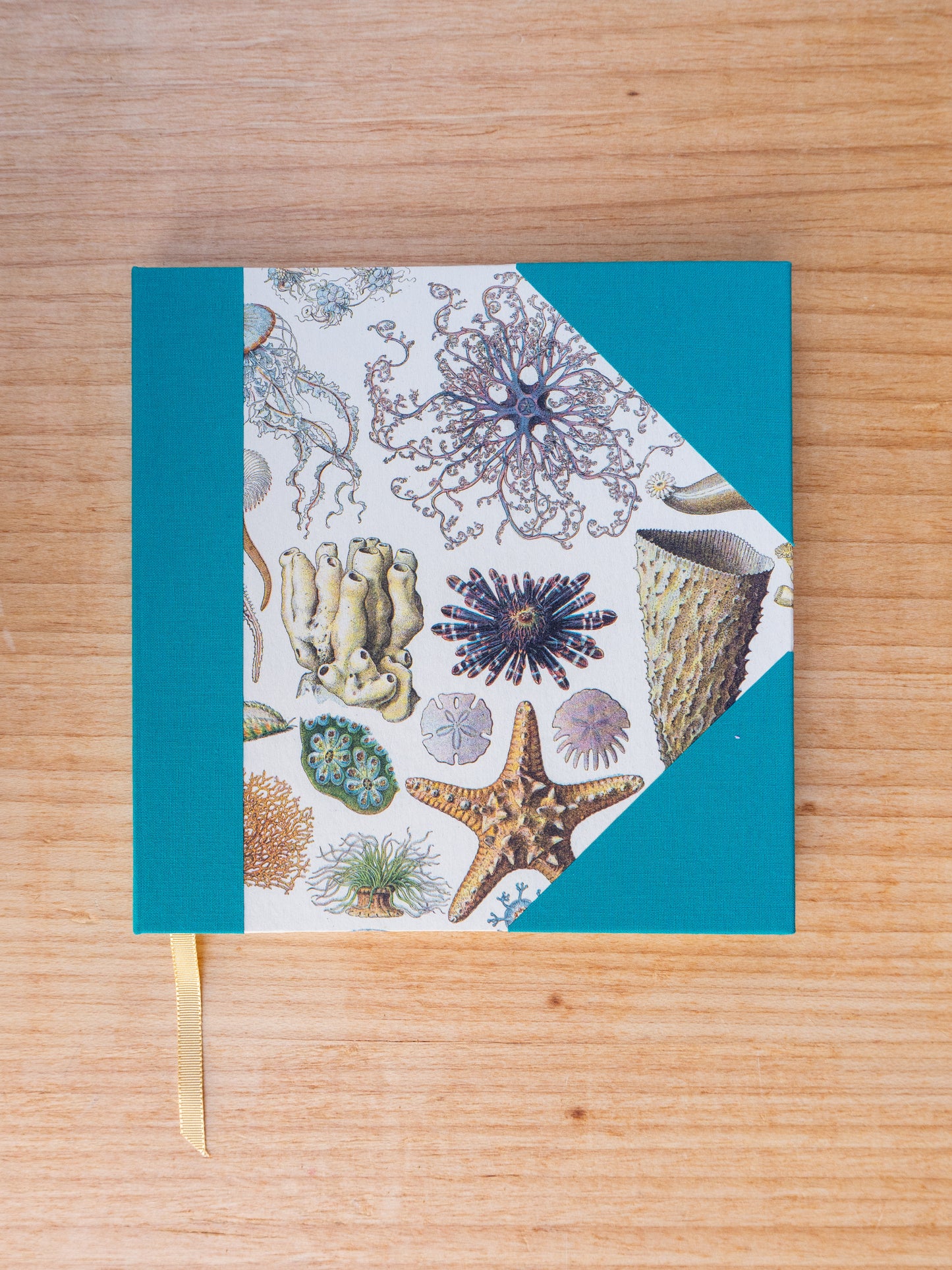 Caderno Naturalia