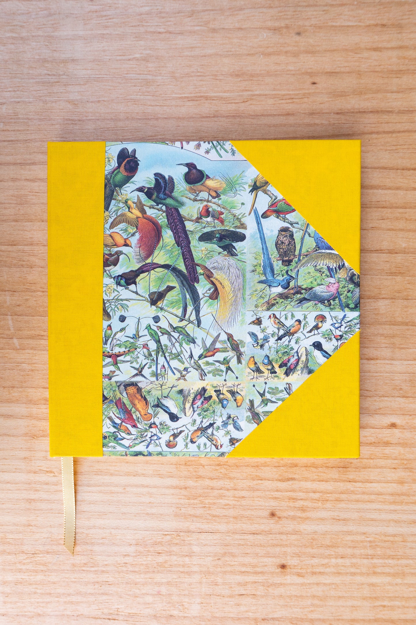 Caderno Naturalia