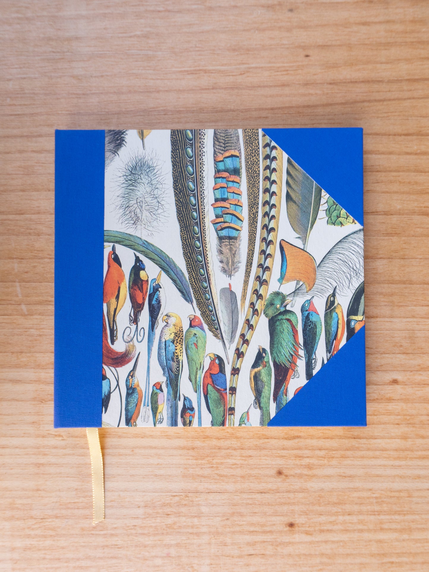 Caderno Naturalia